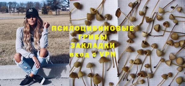 ECSTASY Кукмор