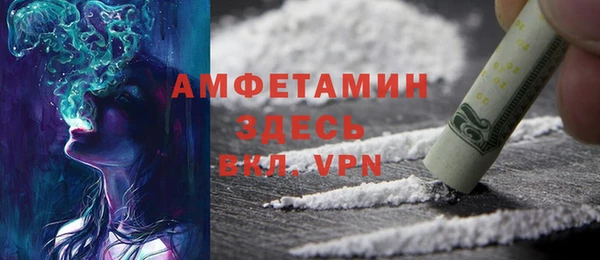 дживик Краснослободск