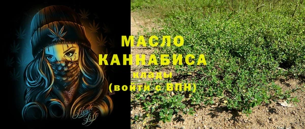 ECSTASY Кукмор