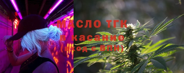 дживик Краснослободск